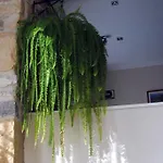 Aida Guest house